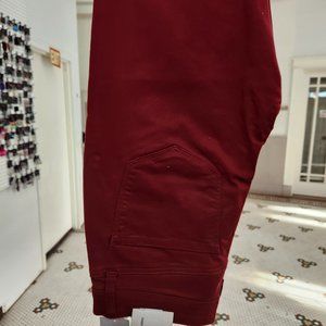 Lularoe skinny fit size 28 brick red color